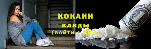 ПСИЛОЦИБИНОВЫЕ ГРИБЫ Новодвинск