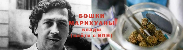 мдпв Новозыбков