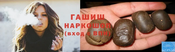 мдпв Новозыбков