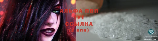 ПСИЛОЦИБИНОВЫЕ ГРИБЫ Новодвинск