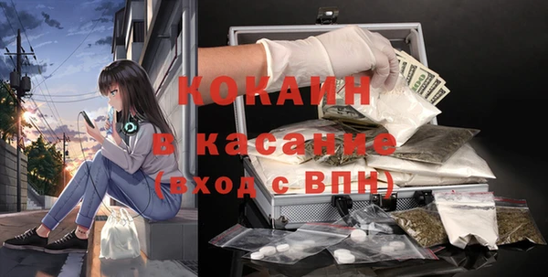 мдпв Новозыбков