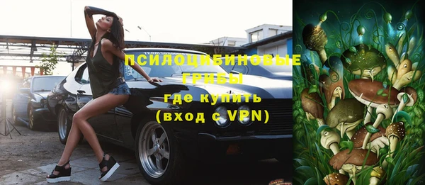 мдпв Новозыбков