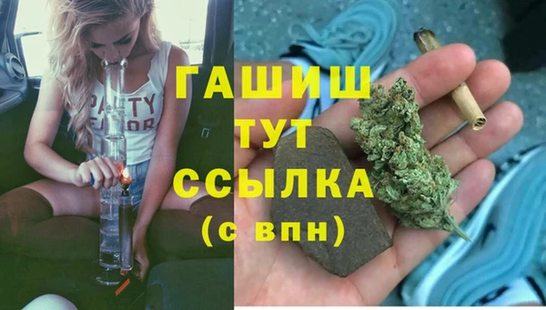 мдпв Новозыбков