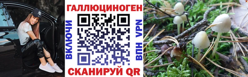 Псилоцибиновые грибы Cubensis Железногорск